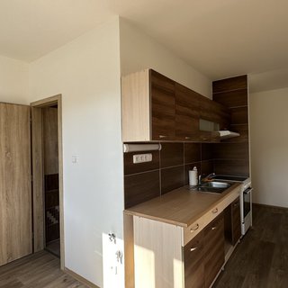 Prodej bytu 1+1 46 m² Loučovice, 