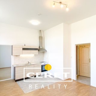 Pronájem bytu 2+kk 40 m² Louny, Komenského náměstí