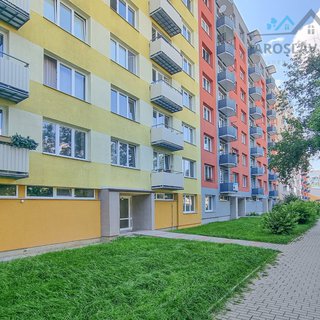 Pronájem bytu 1+1 42 m² České Budějovice, J. Opletala