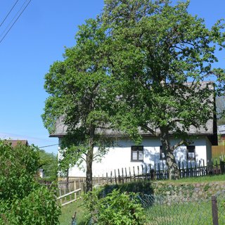 Prodej rodinného domu 86 m² Česká Kamenice, 