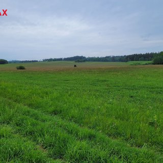 Prodej zemědělské půdy 11 830 m² Malá Hraštice