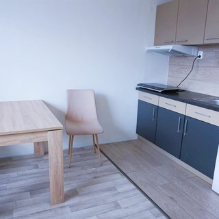 Pronájem bytu 1+1 35 m² Ústí nad Labem, Zahradní