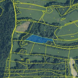 Prodej lesa 3 916 m² Nový Jičín