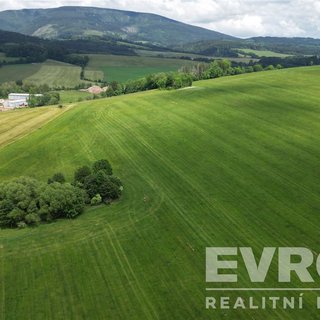 Prodej zemědělské půdy 132 844 m² Dolní Lánov