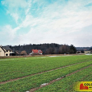 Prodej zemědělské půdy 1 952 m² Bukovinka, 