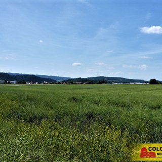 Prodej zemědělské půdy 7 225 m² Letovice, 