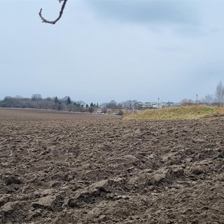 Prodej zemědělské půdy 14 648 m² Číčovice, 