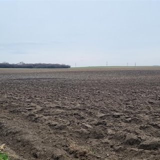 Prodej zemědělské půdy 3 956 m² Čisovice, 