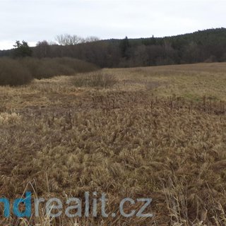 Prodej zemědělské půdy 13 083 m² Stráž
