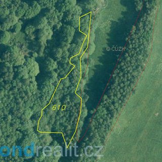 Prodej zemědělské půdy 2 427 m² Dešenice