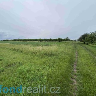 Prodej zemědělské půdy 1 382 m² Strachotín
