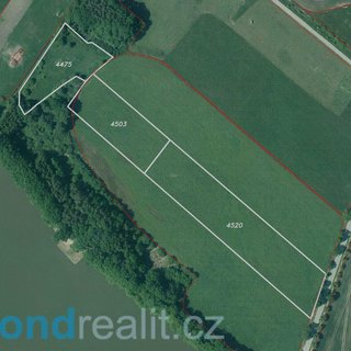 Prodej zemědělské půdy 77 070 m² Třeboň