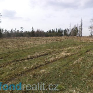 Prodej zemědělské půdy 25 464 m² Opatov