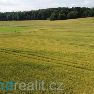Prodej zemědělské půdy 12 505 m² Radošovice