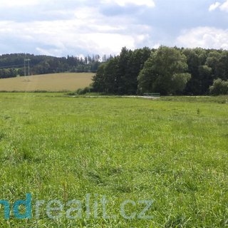 Prodej zemědělské půdy 6 045 m² Vepříkov