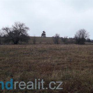 Prodej zemědělské půdy 29 954 m² Teplice nad Metují
