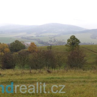 Prodej zemědělské půdy 6 246 m² Vlachovice
