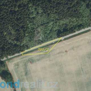 Prodej ostatního pozemku 1 182 m² Nový Rychnov