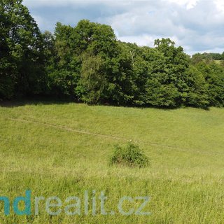 Prodej zemědělské půdy 2 481 m² Zábřeh