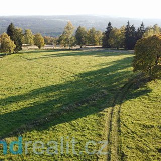 Prodej zemědělské půdy 5 003 m² Šindelová