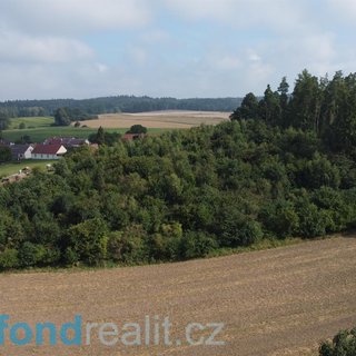 Prodej lesa 10 063 m²