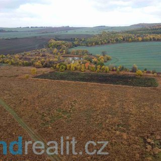 Prodej zemědělské půdy 41 168 m² Bečov