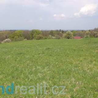 Prodej zemědělské půdy 8 787 m²