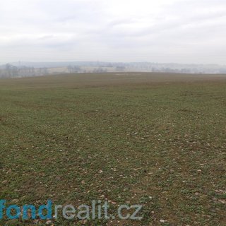 Prodej zemědělské půdy 6 968 m² Drahonice