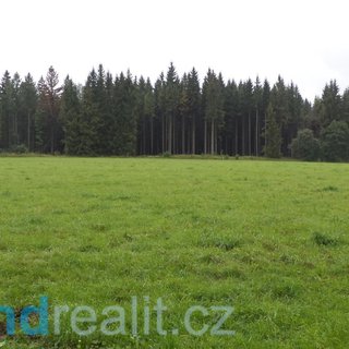 Prodej zemědělské půdy 611 m² Roudno