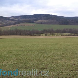 Prodej zemědělské půdy 4 567 m² Mičovice