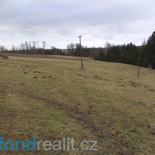 Prodej zemědělské půdy 12 705 m² Mezilesí