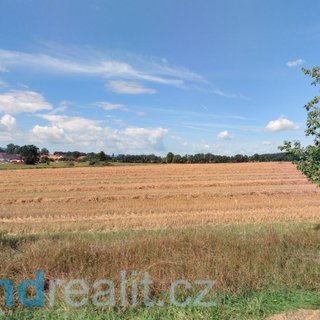 Prodej zemědělské půdy 6 687 m² Radošovice