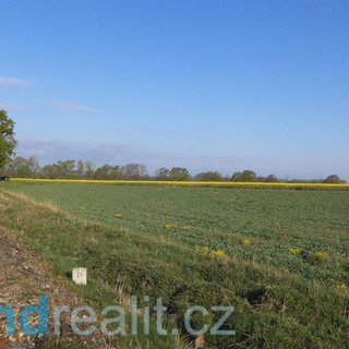 Prodej zemědělské půdy 949 m² Dříteň