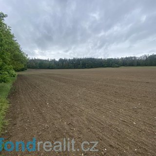 Prodej zemědělské půdy 22 823 m² Bojanovice