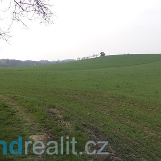 Prodej zemědělské půdy 2 376 m² Jalubí