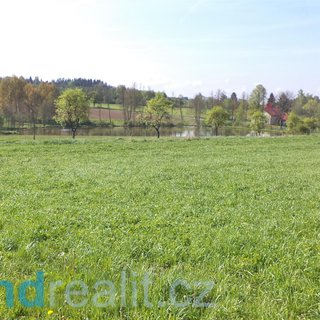Prodej zemědělské půdy 7 070 m² Bořetín