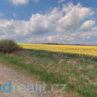 Prodej zemědělské půdy 6 401 m² Cebiv
