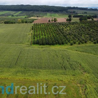 Prodej zemědělské půdy 4 926 m² Malovice