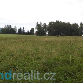 Prodej zemědělské půdy 6 774 m² Královec