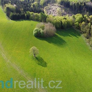 Prodej zemědělské půdy 15 879 m² Hanušovice