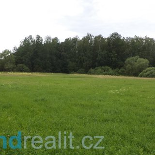 Prodej zemědělské půdy 5 581 m² Česká Lípa