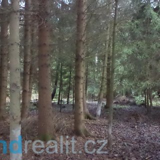 Prodej lesa 9 683 m² Myslkovice