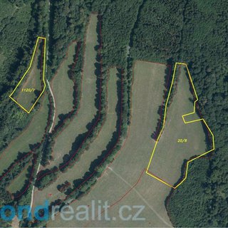 Prodej zemědělské půdy 57 523 m² Nový Malín