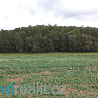 Prodej zemědělské půdy 1 718 m² Rosovice