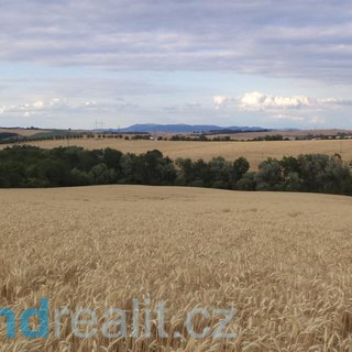 Prodej ostatního pozemku 1 723 m² Soběsuky