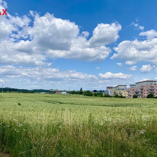 Prodej zemědělské půdy 2 739 m² Praha