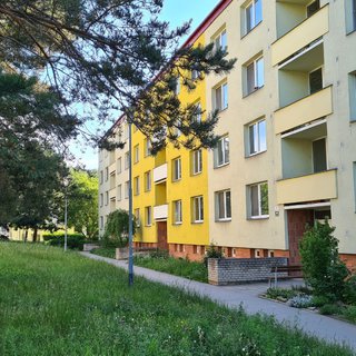 Pronájem bytu 1+1 38 m² Brno, Stamicova