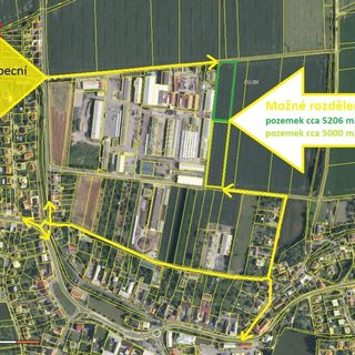 Prodej zemědělské půdy 5 206 m² Dolany