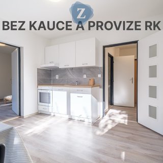 Pronájem bytu 1+1 38 m², Purkyňova