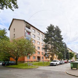Pronájem bytu 1+kk a garsoniéry 24 m² Horní Slavkov, U Lesoparku
